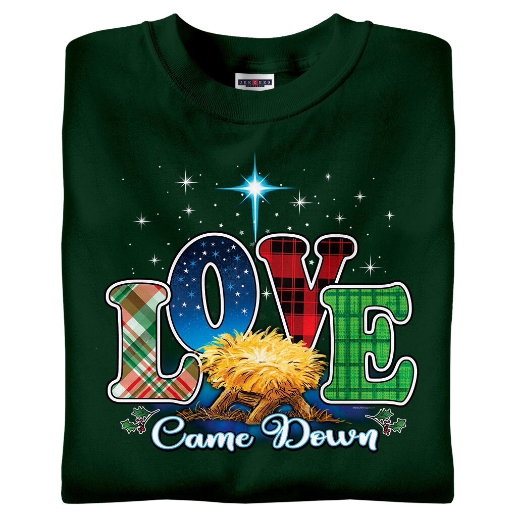 Love Came Down